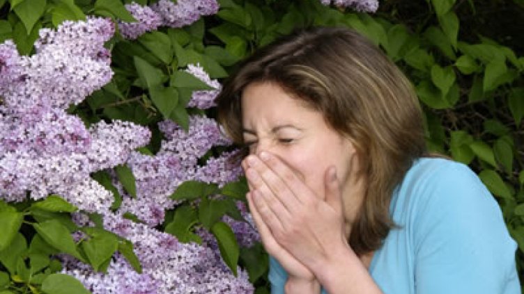 Западният стил на живот е главният фактор за увеличаване на алергиите