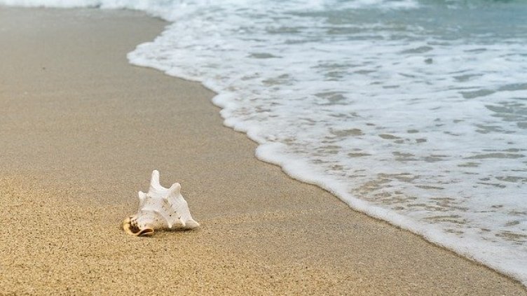 Тръгна процедура за концесия на морски плаж „Кабакум - централен“