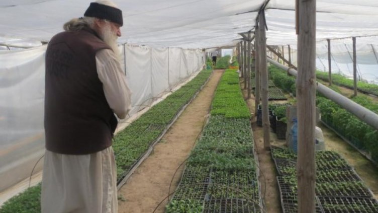 Монаси отглеждат биопродукти, инвестират парите в църква