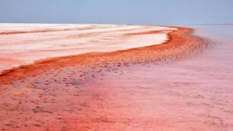 Езерото Туз в Турция стана розово, очарова туристите  