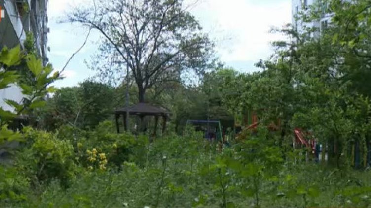 "Традиционно" преди сезона: Варна пак заприлича на ...савана