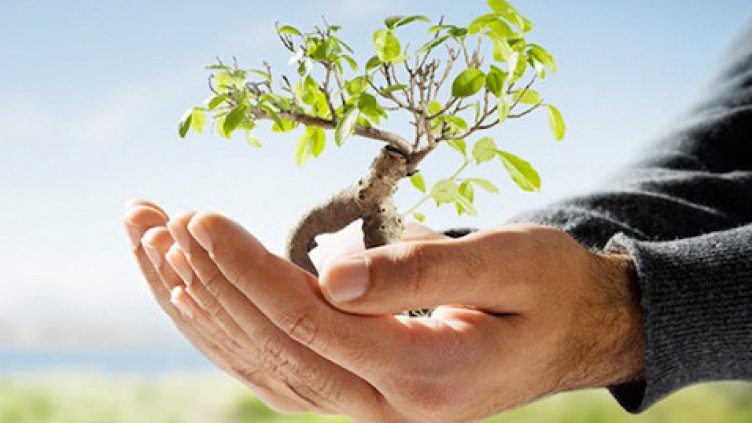 Скандални застраховки: Полица за случай на смърт, но не и за ковид!