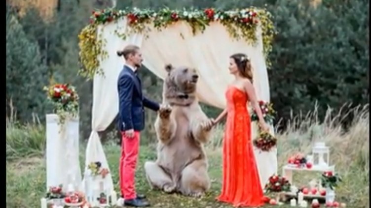 Мечка "ожени" двама московчани (ВИДЕО)