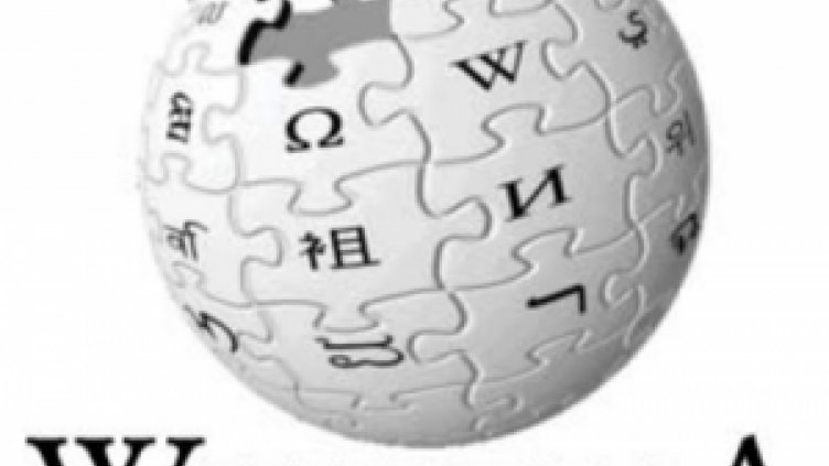 Полша вдигна паметник на Wikipedia