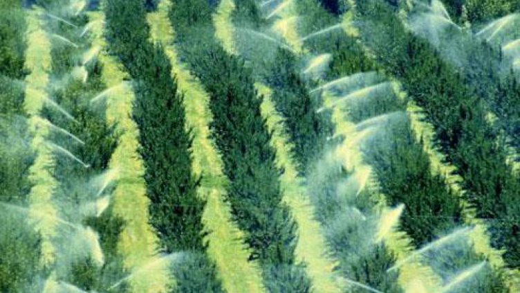 Снимка: Sinor.bg