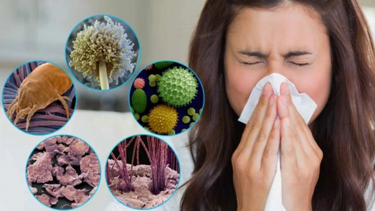 Вижте шестте най-често срещани алергии