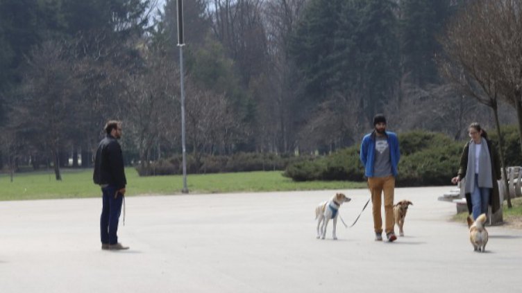 Затварят кучешките градинки