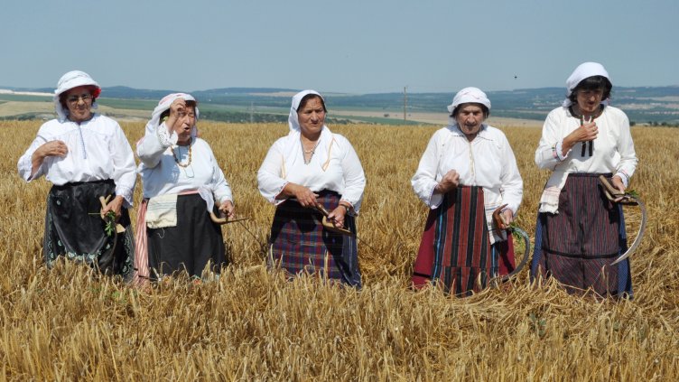 С ритуал започна жътвата в с. Тополи