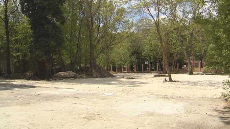 Изсякоха дървета на Златните, теренът – паркинг