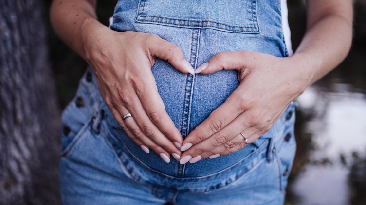 Снимка: Pixabay/ Robster_91