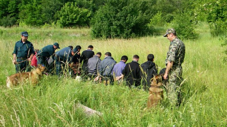Вдигат палаткови лагери за бежанци в погранични райони