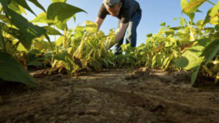 Снимка: Expert.bg