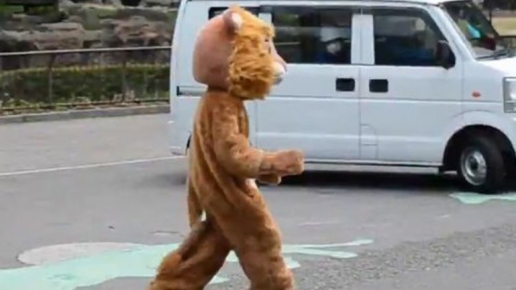 "Лъв" избяга от зоопарк