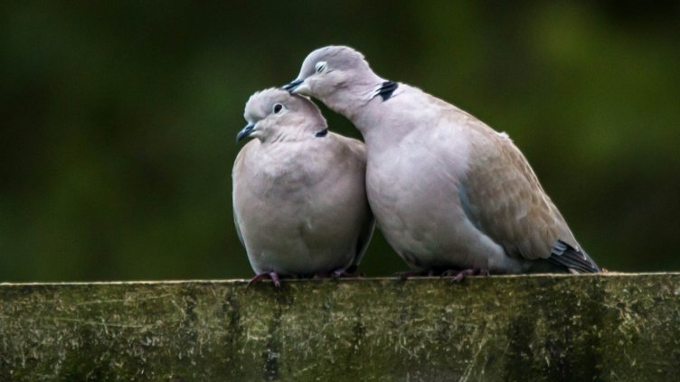 По какво се познава най-добрата връзка?