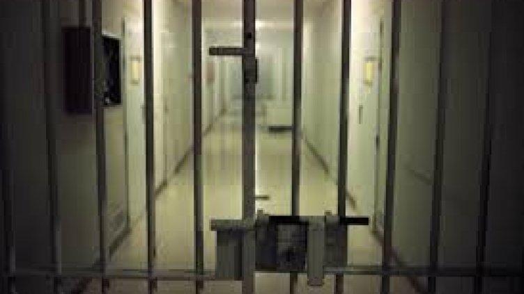 15 г. затвор за янки, питбулите му разкъсали пенсионерка