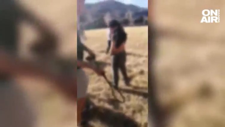 Побойниците с камшика: Избирай си наказание, иначе ще играе ножът!