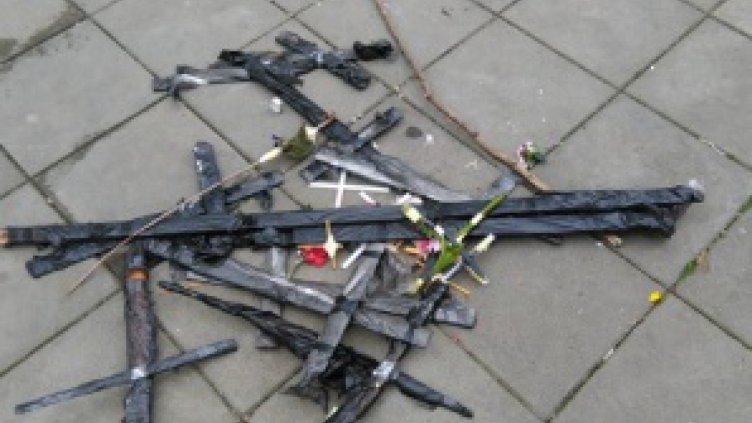 Снимка Дарик