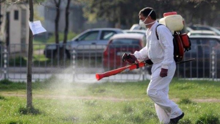 Жилищен блок във Варна пропищя от бълхи