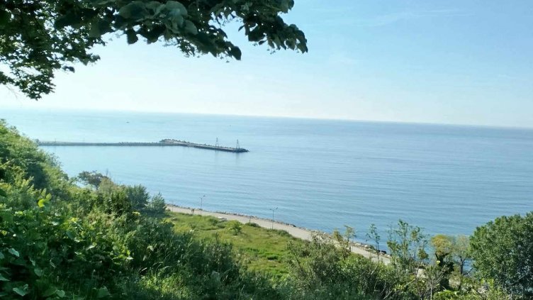 Населението в област Варна е над 435 хиляди души