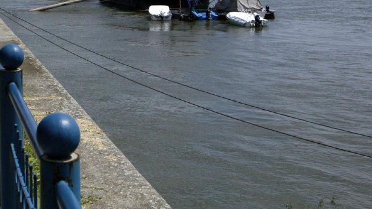 Нивото на Дунав при Лом пак скача, стигна 782 см