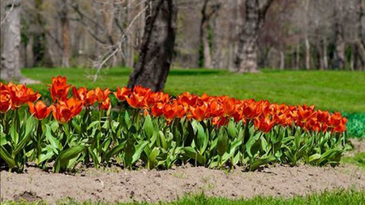 Лятна седмица през април: Градусите до 27