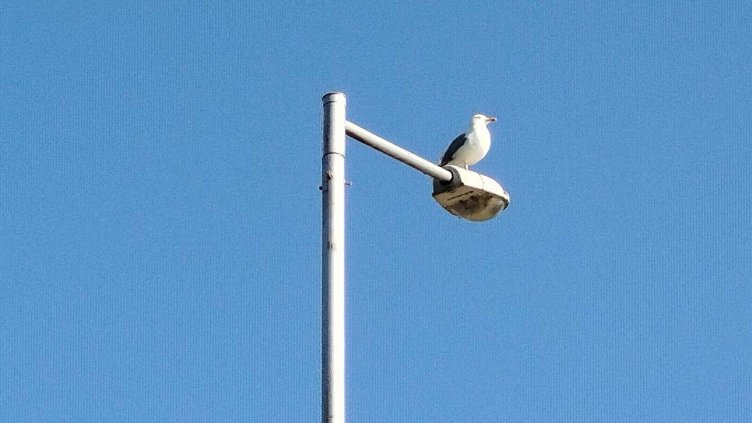 Топло и хубаво време в следващите дни