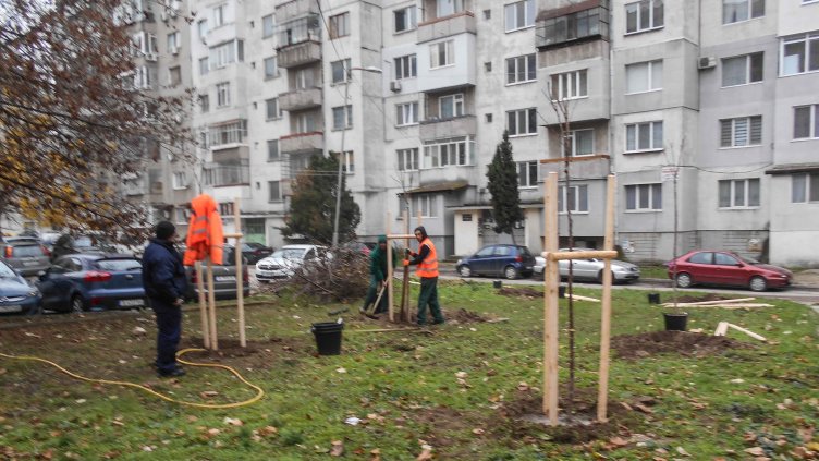 Засадиха още 500 нови фиданки във Варна