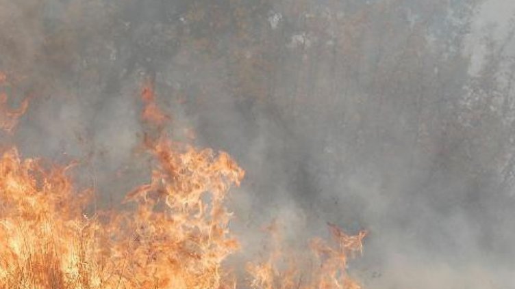 Пожарът в Тополовград се разраства към Турция