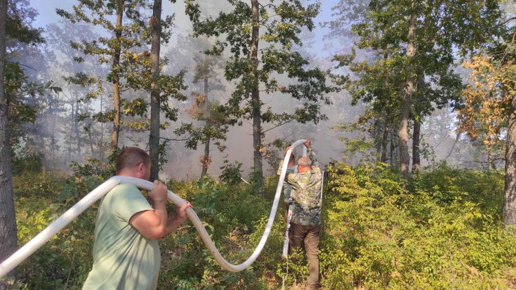 Около 500 дка широколистна гора гори между селата Блъсково и Чайка