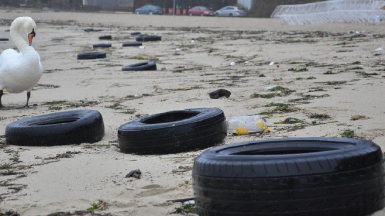 Снимка: Пламен Гутинов