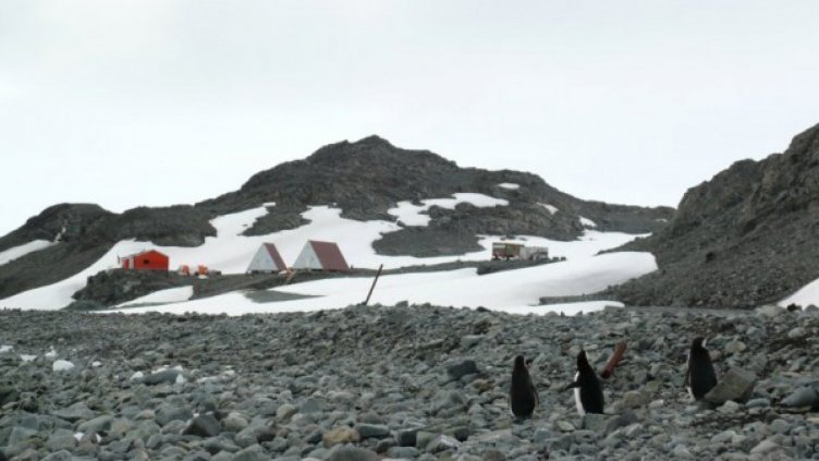 Антрактиците ни заседнаха в Чили, няма самолет за тях