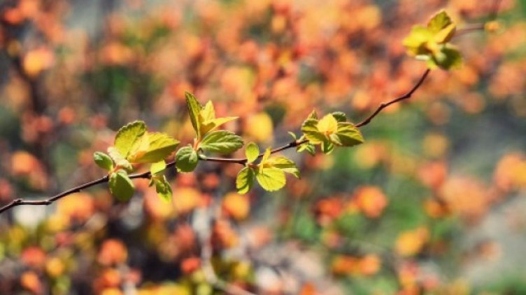 Очаква ни слънчев и топъл вторник