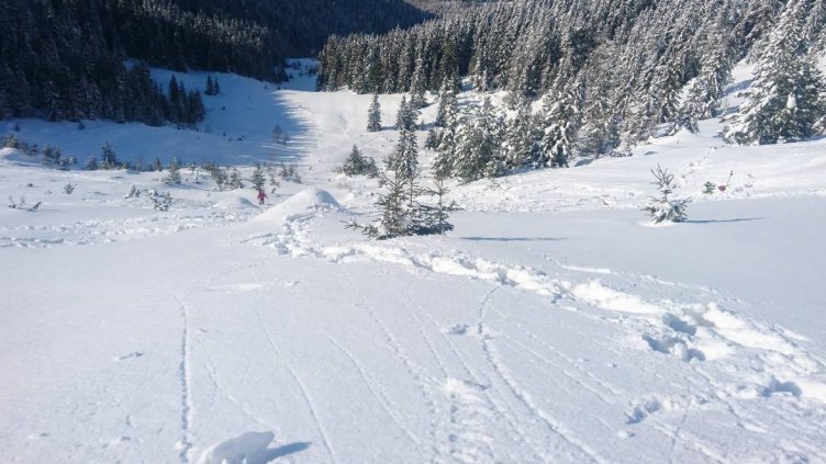 Лавина затрупа и уби петима алпинисти