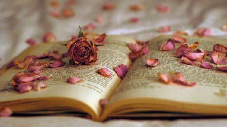 Отбелязваме Световния ден на поезията