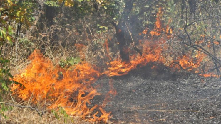 Гасят голям пожар над Велинград, търсят доброволци за помощ