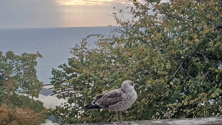 Предимно слънчево време в цялата страна днес