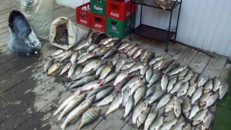 БАБХ конфискува 255 кг риба за Никулден