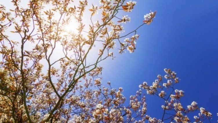 Слънчево по прогноза, над Варна облачно