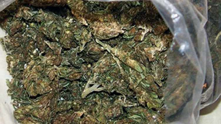 Спипаха двойка с трева в "Голф" край "Аспарухово"