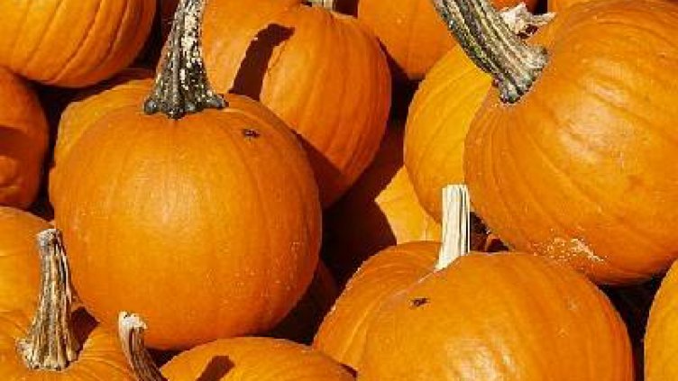 МЗХ: Новите правила за подпомагане в земеделието ще продължат тенденцията за ръст в производството