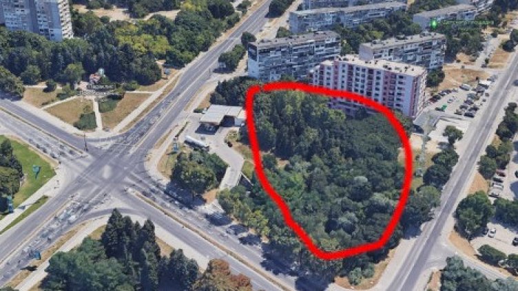 ДБ Варна алармира: Община Варна иска да унищожи над 300 дървета в „Младост“