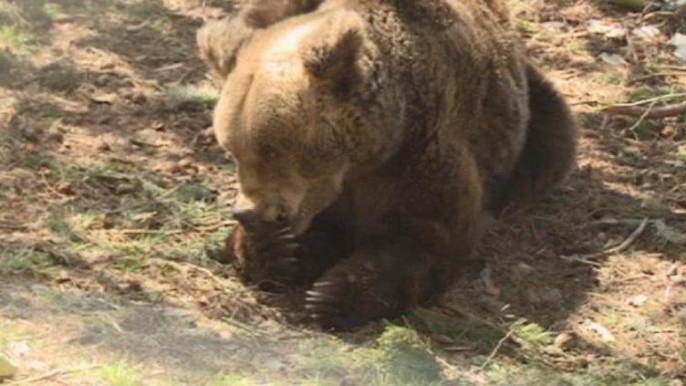 Снимката е илюстративна.