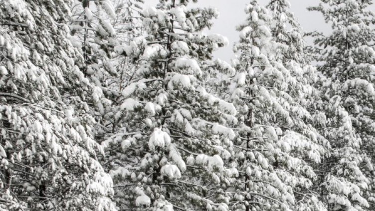 Смразяващи -19 градуса в Смолян