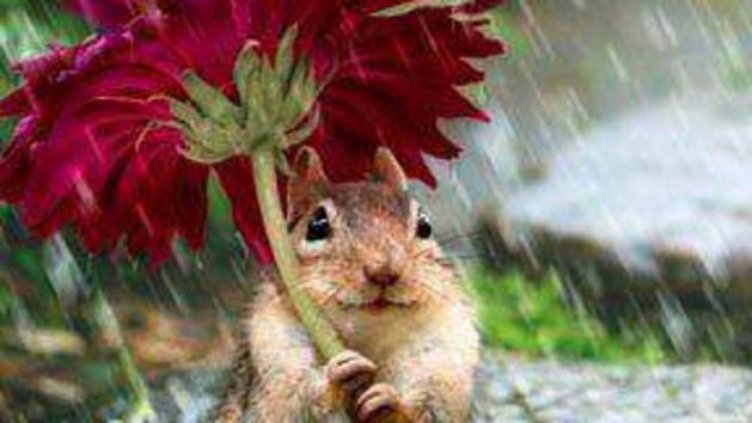 Хладно, ветровито, облачно и дъждовно