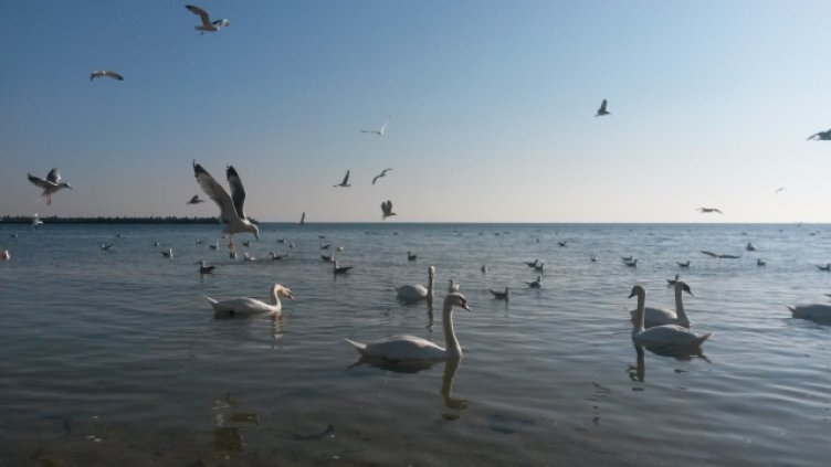 Облаци, слънце и слаб дъжд в сряда