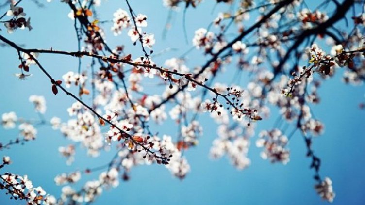 Месец март е бил необичайно топъл