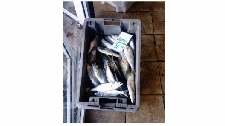 Леферът може да засрами по цена калкана