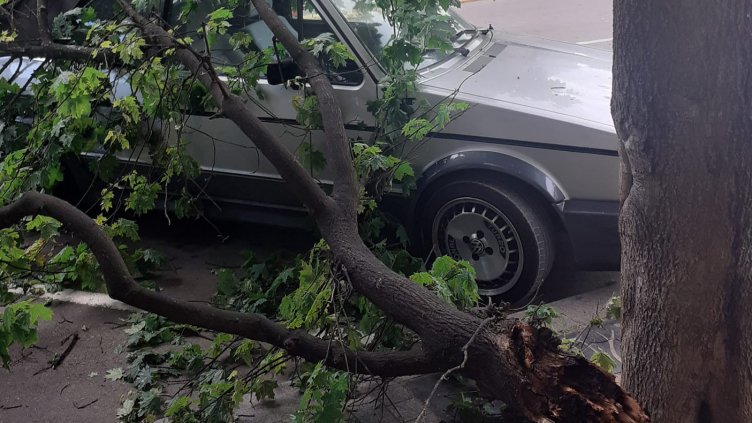 Младеж загина след удар в дърво край Варна