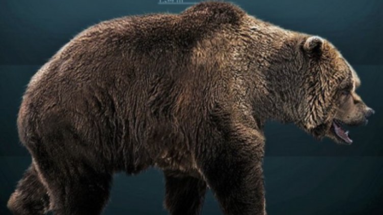 Намериха останки от пещерна мечка в Странджа