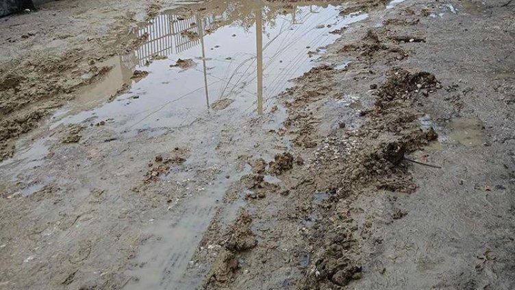 Варненци се възмущават: До нас се стига само с танк! 